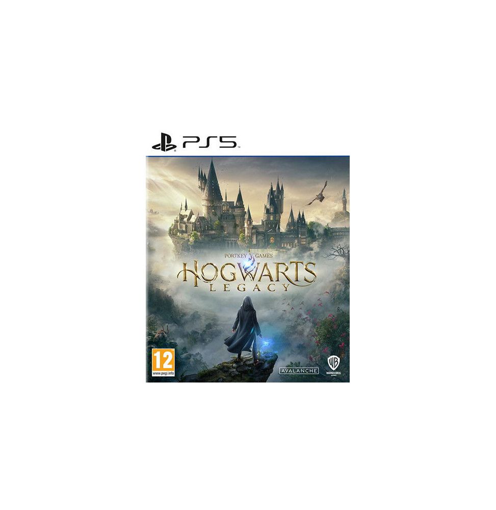 Ps5 Hogwarts Legacy - Playstation 5