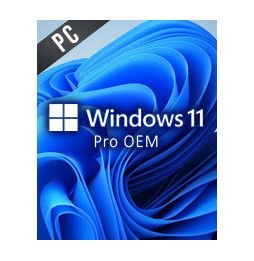 Licenza Windows 10 o 11 OEM da abbinare al PC Assemblato