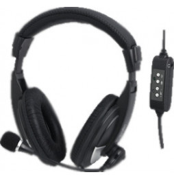 LogiLink Headset Stereo with Microphone USB Black HS0019