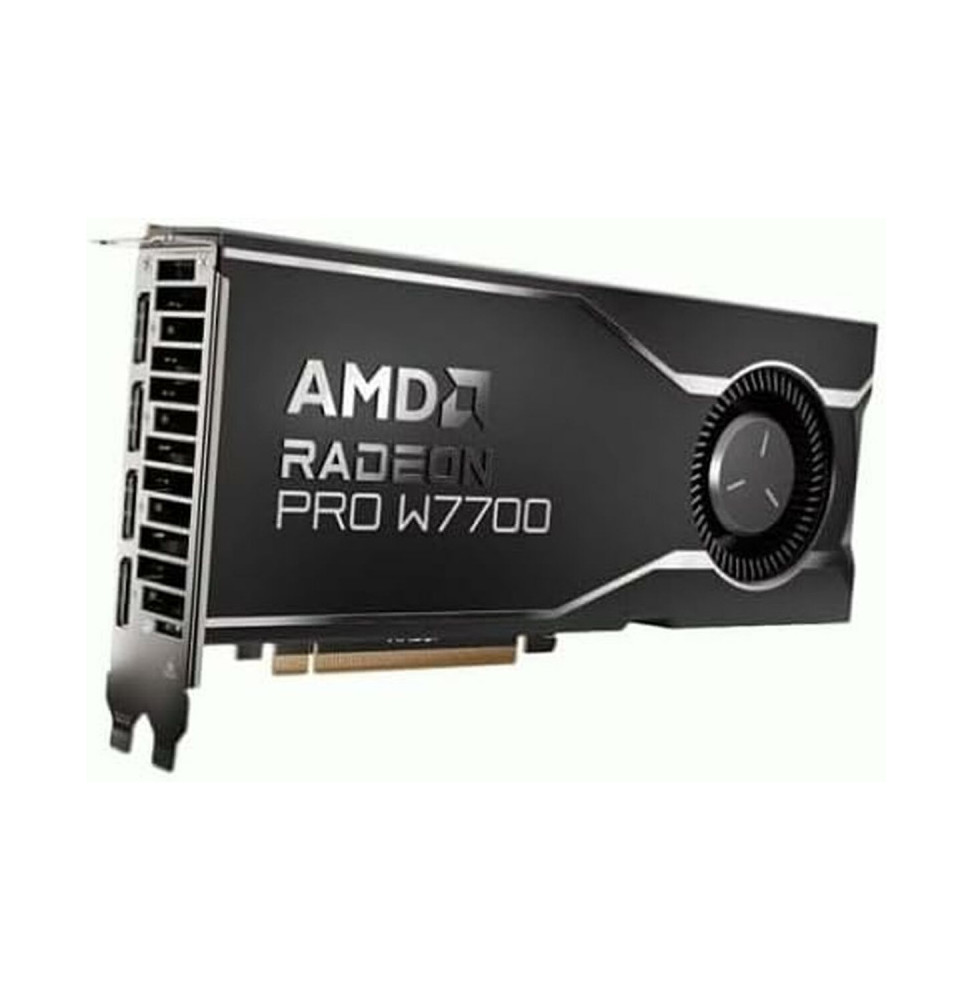 VGA AMD RADEON PRO W7700 16GB (100-300000006)