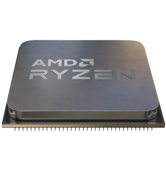 AMD Ryzen 5 5600G Tray AM4 (3,900GHz)
