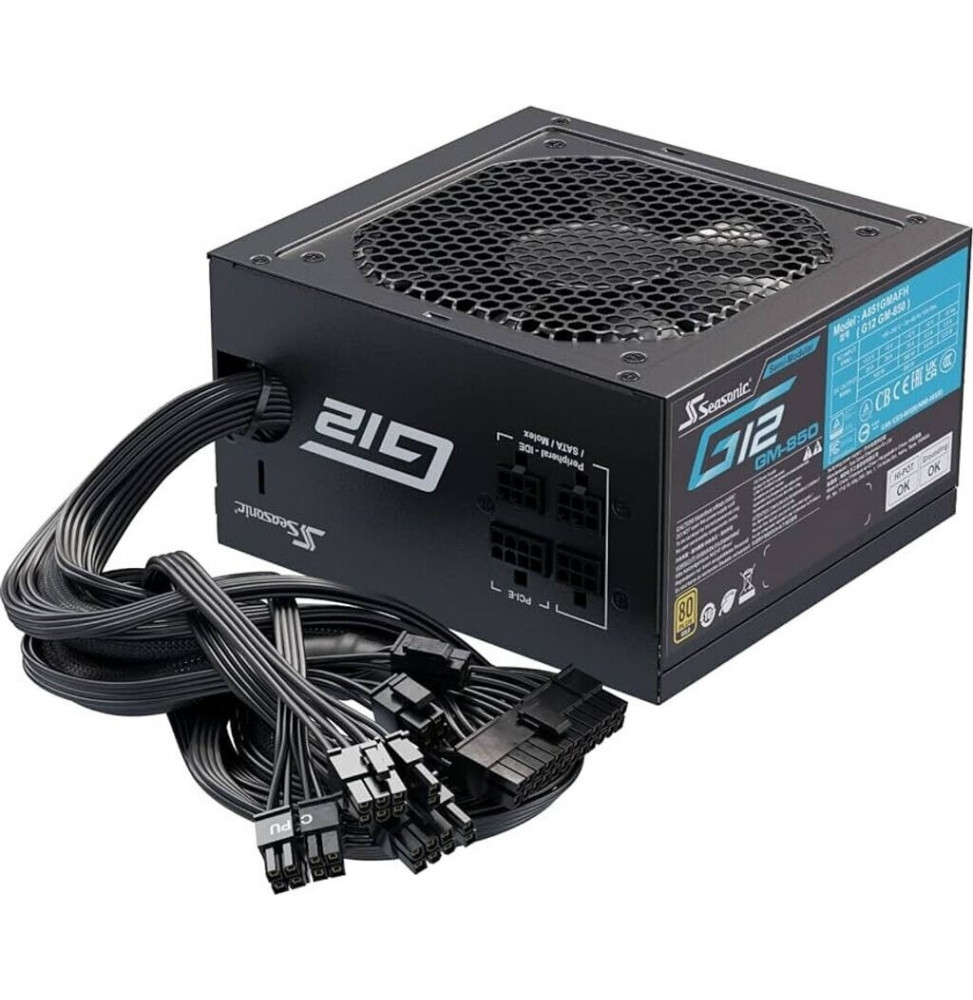 Power SupplyFortron FSP ADVAN GM 850 PPA8504800 850W