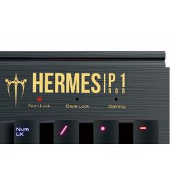 Tastiera Gaming Gamdias Meccanica Hermes P1 RGB Led - Layout IT