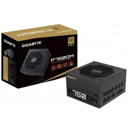 Power SupplyGigabyte GP-P750GM