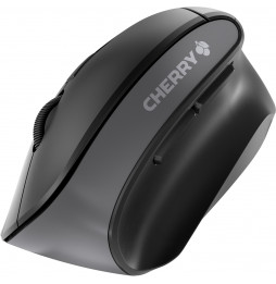 Mouse Cherry MW4500 schwarz (JW-4500)